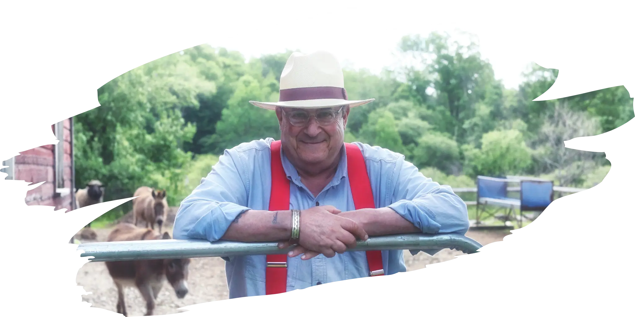 Cheerful farmer wearing a stylish Panama hat with a wide red band leaning on a gate, with goats in the background, embodying the casual and durable style of our Panama hats suitable for everyday outdoor activities.